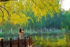 91贺岁片麻豆传媒欧美玲-2023跨年新纪元,91贺岁片麻豆传媒的欧美视觉盛宴